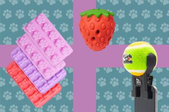 15 Pooch-Approved Valentine Gifts That Celebrate Puppy Love